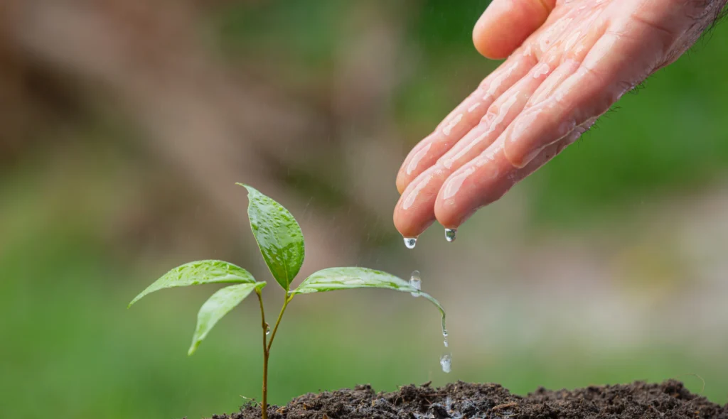 Green Vision Life: Growing a Greener Tomorrow, One Step at a Time